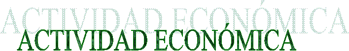ACTIVIDAD ECON�MICA