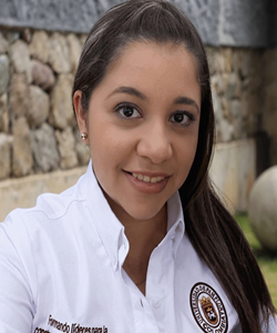 Imagen 2