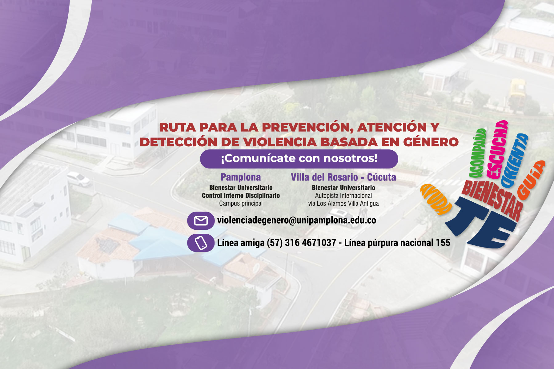 Docentes