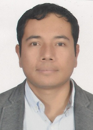 Jorge Araque Docente