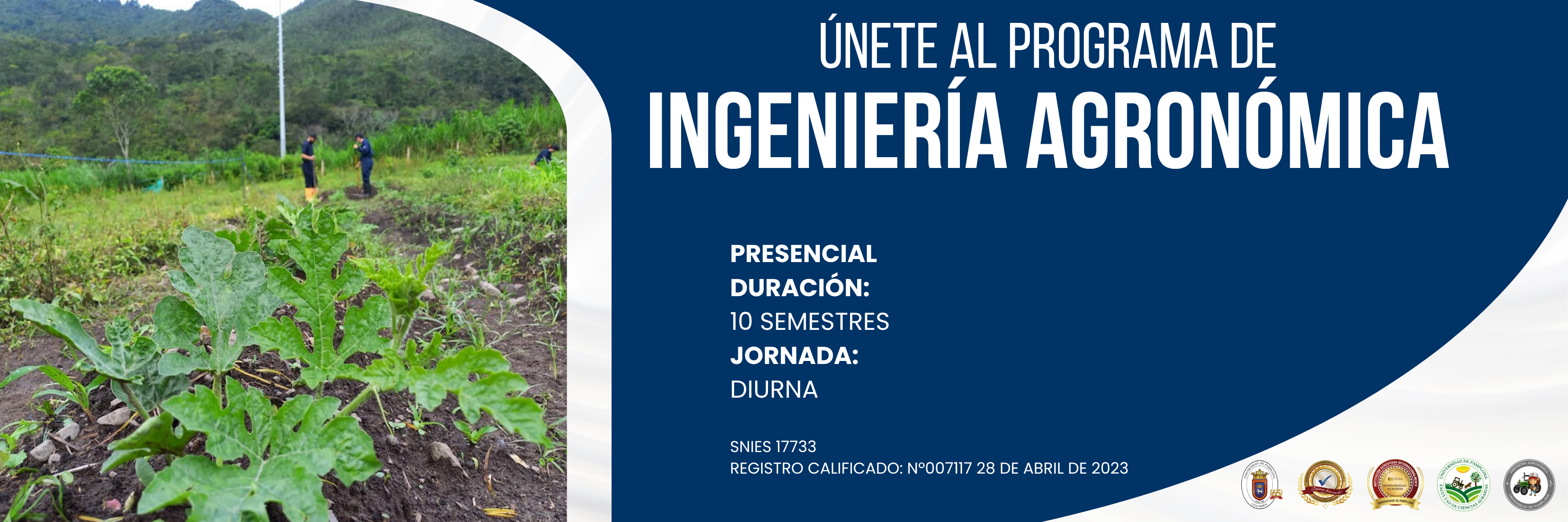 Universidad de Pamplona
