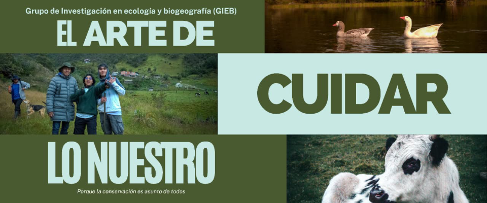 Universidad de Pamplona