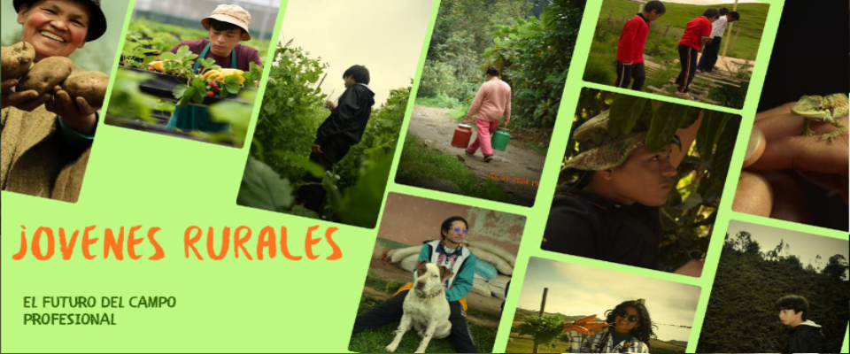 Universidad de Pamplona