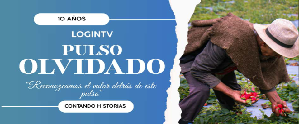 Universidad de Pamplona