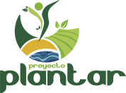 Plantar