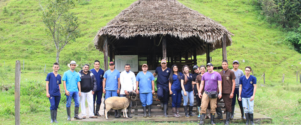 Universidad de Pamplona