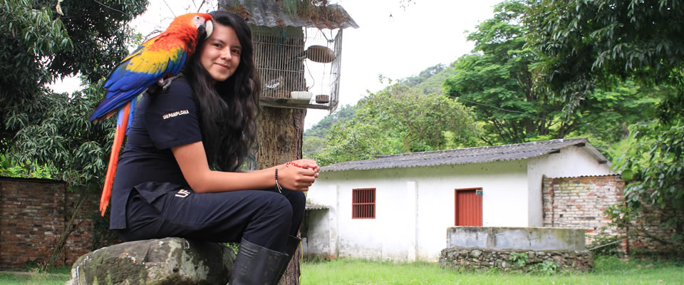 Universidad de Pamplona