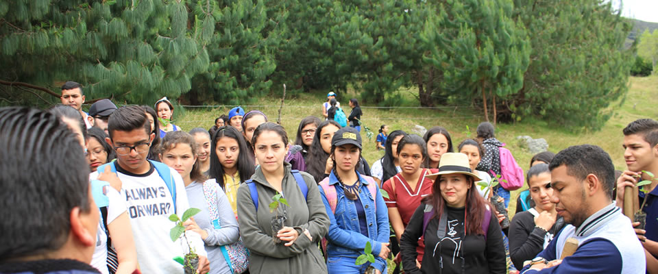 Universidad de Pamplona