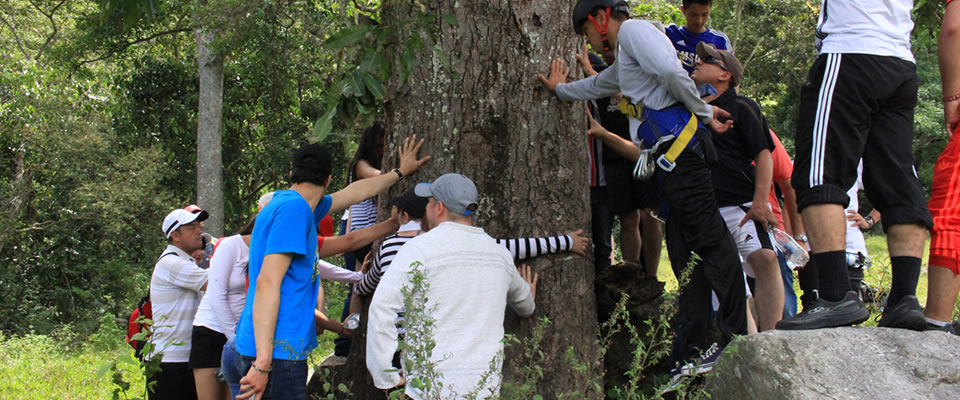 Universidad de Pamplona