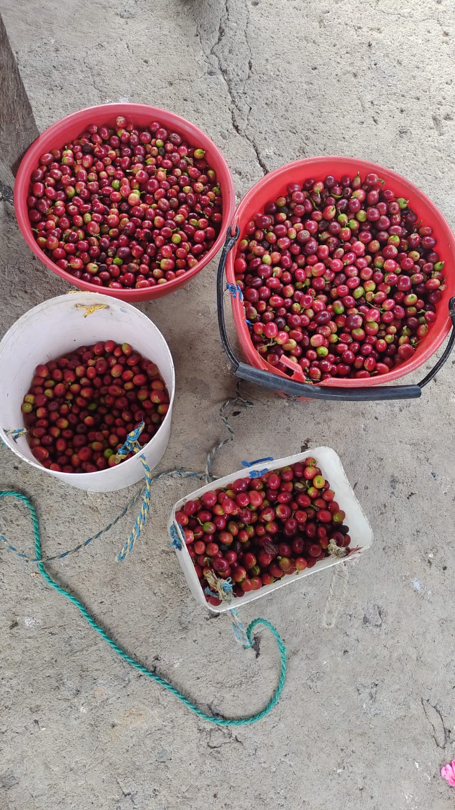 Recipientes de caf&eacute;