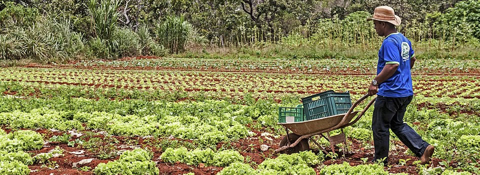Universidad de Pamplona