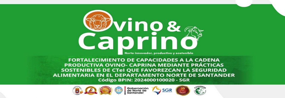 Universidad de Pamplona