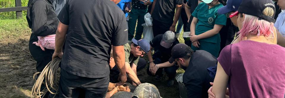 Universidad de Pamplona