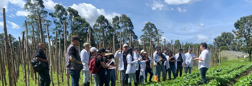 Universidad de Pamplona