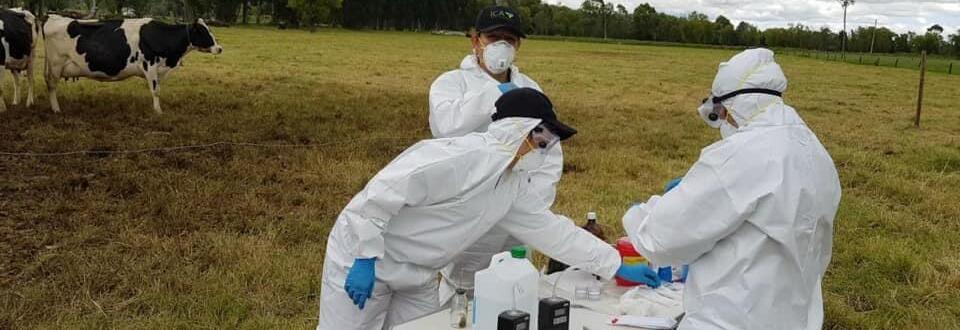 Universidad de Pamplona