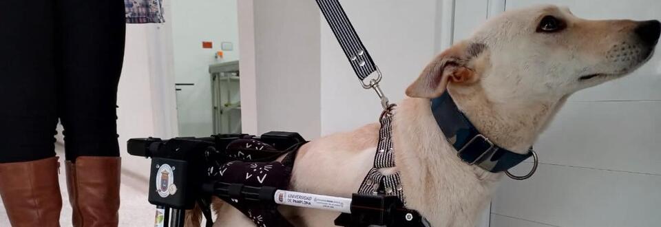 Universidad de Pamplona