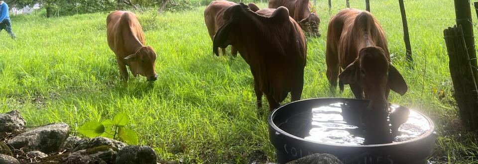 Universidad de Pamplona