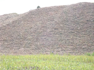 Elaboración de surcos en sentido contrario a la pendiente